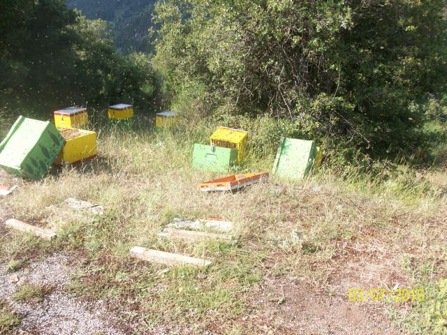 100 2967 | Lamianow.gr