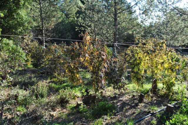 FOTO%201%281%29 | Lamianow.gr