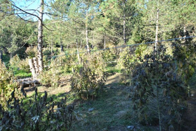 FOTO%203%282%29 | Lamianow.gr