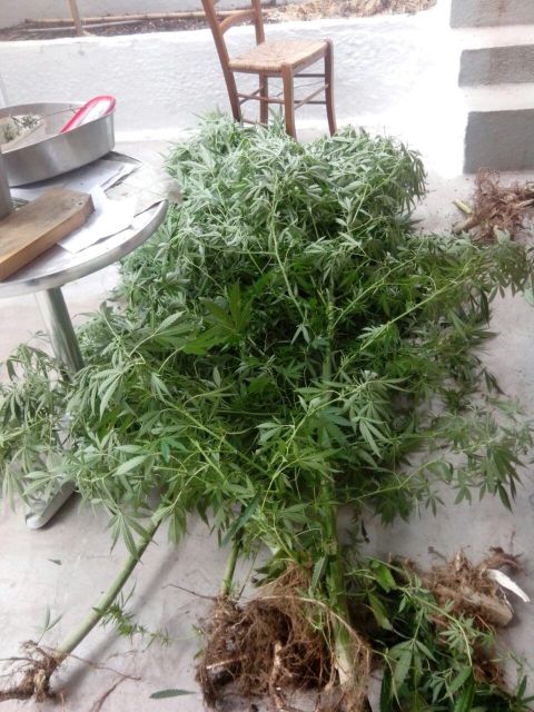 FOTO 1 | Lamianow.gr