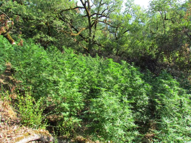 FOTO 10%281%29 | Lamianow.gr