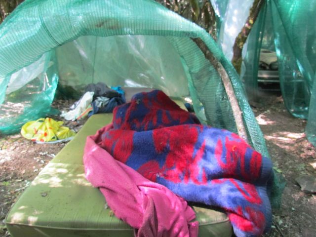 FOTO 11 | Lamianow.gr