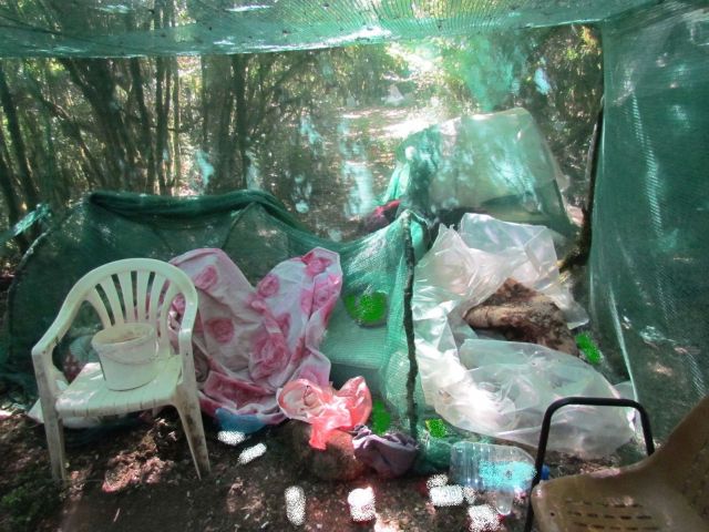 FOTO 12 | Lamianow.gr