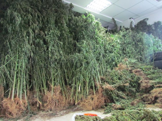 FOTO 14 | Lamianow.gr