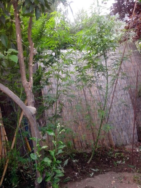 FOTO 4 | Lamianow.gr