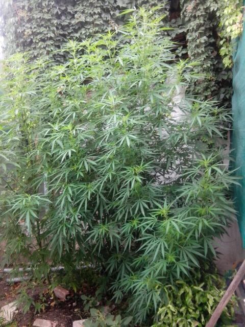 FOTO 7 | Lamianow.gr