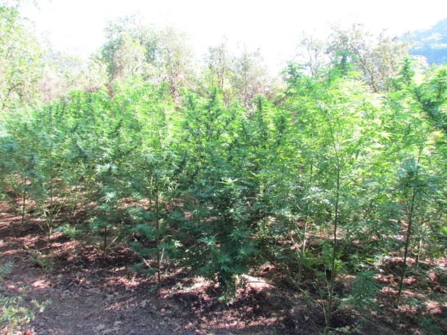 FOTO 8%281%29 | Lamianow.gr