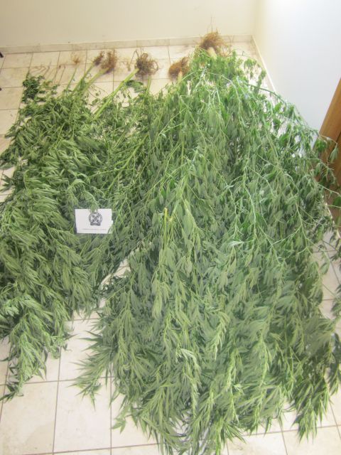 FOTO 8 | Lamianow.gr