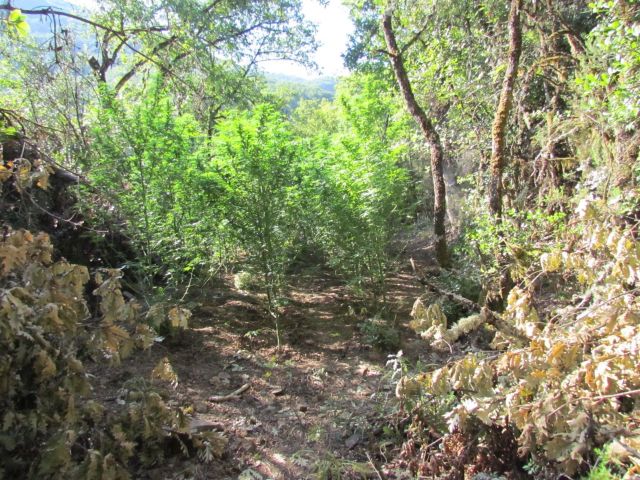 FOTO 9 | Lamianow.gr