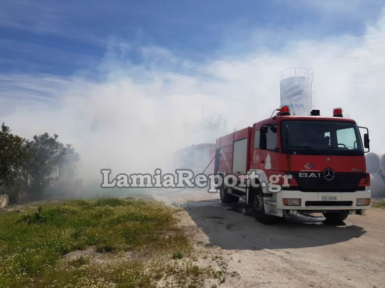 Πυρκαγιά σε εργοστάσιο ξυλείας στη Λαμία