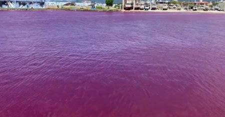 Η θάλασσα έγινε κόκκινη στην Ιαπωνία, απίστευτη εικόνα - Τι συνέβη