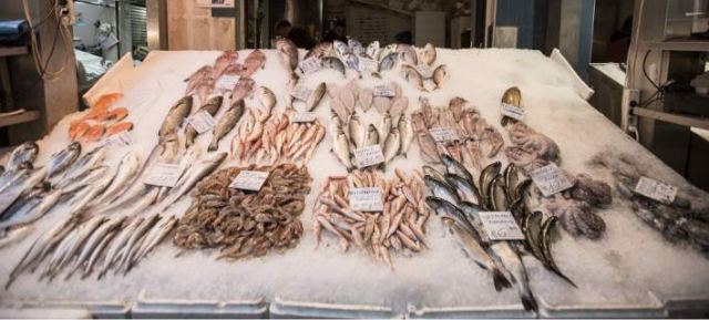 Απίστευτο: Η Ελλάδα εισάγει το 66% των ψαριών που καταναλώνει