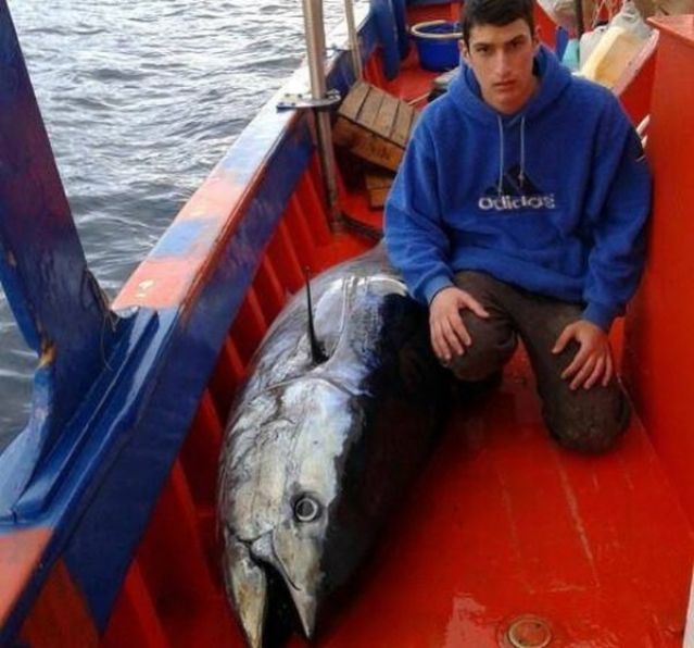 Δείτε τι ψάρι έπιασε 17χρονος στο βόρειο Ευβοϊκό - ΦΩΤΟ