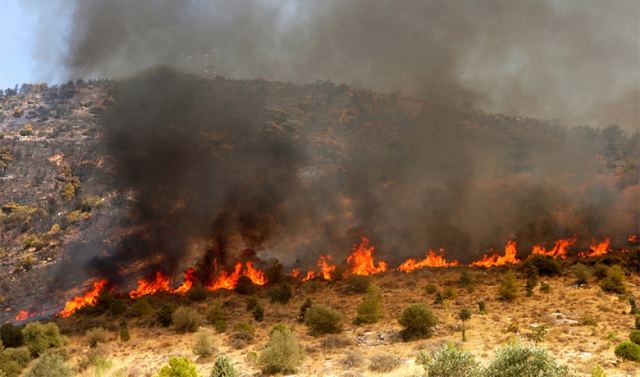 Πυρκαγιά σε εξέλιξη έξω από τη Λαμία - Έσωσαν το ποιμνιοστάσιο