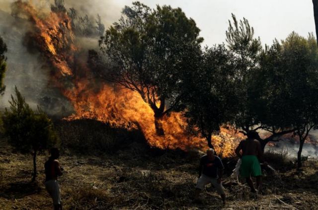 Φωτιά σε δασική έκταση στο Πανόραμα Θεσσαλονίκης