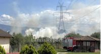 Πυρκαγιά σε ελαιοπερίβολο στην είσοδο της Λαμίας (ΒΙΝΤΕΟ-ΦΩΤΟ)