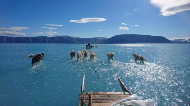 Η φωτογραφία για την Γροιλανδία που έγινε viral