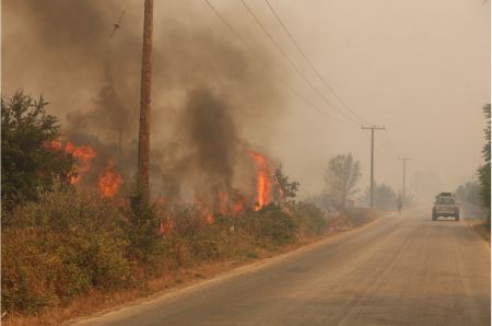 Φωτιά στον Έβρο: «Καθηλωμένα» τα δύο ενεργά μέτωπα - Συνεχίζεται αδιάλειπτα η μάχη