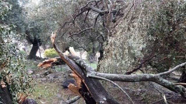 Ανεμοστρόβιλος έπληξε την Κέρκυρα - Χωρίς ρεύμα αρκετές περιοχές του νησιού - ΦΩΤΟ