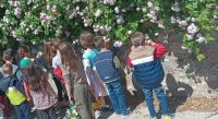 Νηπιαγωγείο Πελασγίας: Τα παιδιά τραγούδησαν τον «Λάζαρο» στους ηλικιωμένους