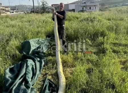Ηράκλειο: Πύθωνας 5 μέτρων σε χωράφι, viral οι εικόνες με το φίδι