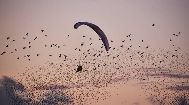 Το φανταστικό φαινόμενο «Black Sun»: Πτήση ανάμεσα σε αρπακτικά πτηνά