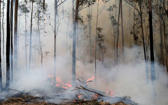 Αυστραλία: Υπό έλεγχο η μεγαλύτερη πυρκαγιά στη χώρα, αναμένονται και βροχές