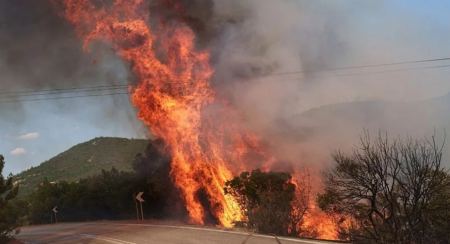 Η φωτιά καίει τον Έβρο για 14η ημέρα - Γύρω από το Σουφλί οι φλόγες