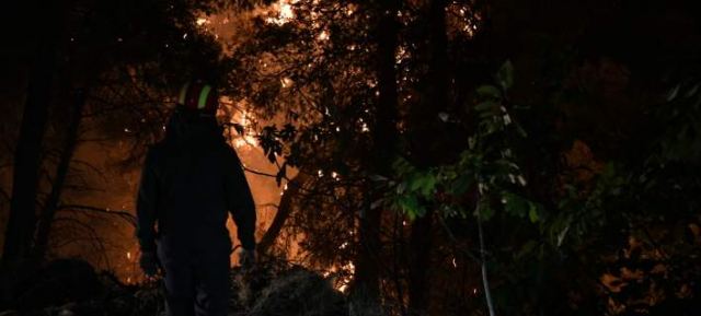 Σε ύφεση η φωτιά στην Εύβοια -Προσπαθούν να τη θέσουν υπό έλεγχο