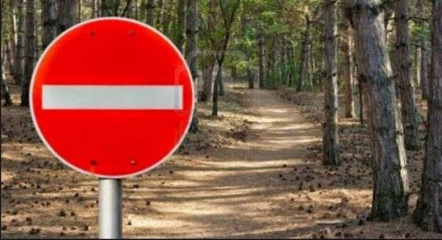 Φθιώτιδα: Απαγόρευση κυκλοφορίας σε δασικές περιοχές - Υψηλός κίνδυνος πυρκαγιάς