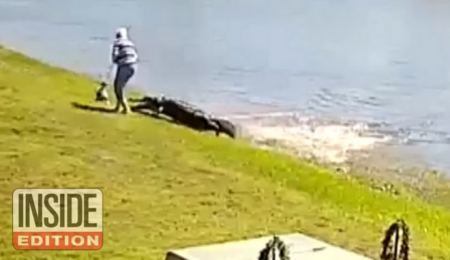 ΗΠΑ: Η στιγμή της φονικής επίθεσης αλιγάτορα σε 85χρονη - Σοκαριστικό βίντεο