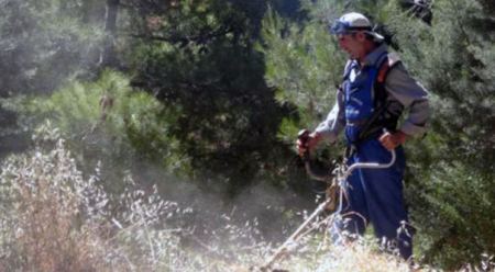 Καθαρισμός οικοπέδων στο Δήμο Στυλίδας ενόψει της αντιπυρικής περιόδου
