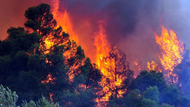 Αττική &amp; Εύβοια στις περιοχές πολύ υψηλού κινδύνου για πυρκαγιά