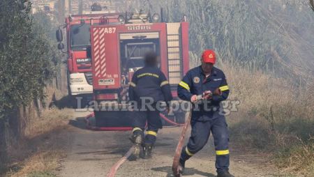 Συναγερμός για πυρκαγιά στη νότια Λαμία (ΒΙΝΤΕΟ-ΦΩΤΟ)
