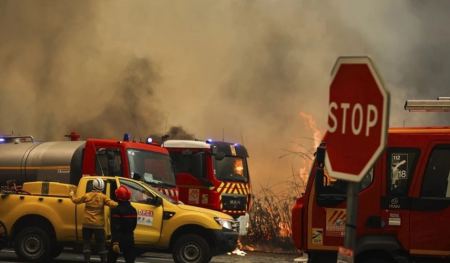 Bloomberg: Drones, ρομπότ, πρόβατα και… κατσίκες προορίζονται να ριχθούν στη μάχη κατά των πυρκαγιών