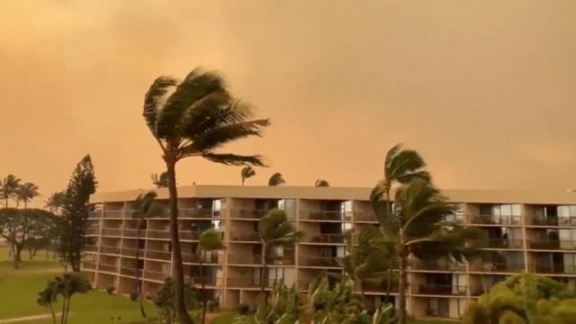 Καίγεται το νησί Μάουι στη Χαβάη! Απομακρύνθηκαν κάτοικοι και τουρίστες