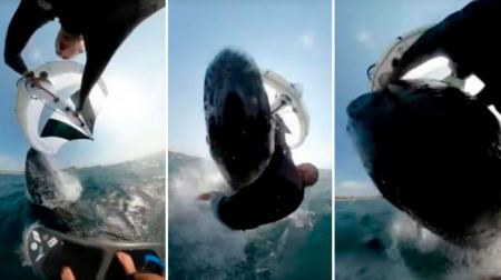 Δείτε τη στιγμή που Αυστραλός σέρφερ δέχεται επίθεση από φάλαινα
