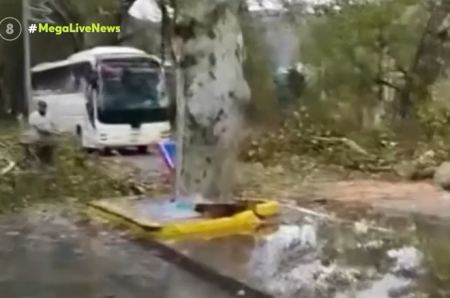 Ξάνθη: «Μας έπιασε η καταιγίδα ανάμεσα στα πλατάνια» λέει ο οδηγός του λεωφορείου που του έπεσε το κλαδί στο παρμπριζ