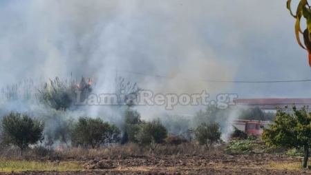 Φθιώτιδα: Συνεχώς τρέχουν για φωτιές στις καλλιέργειες οι πυροσβέστες