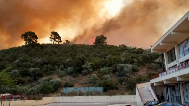 Πύρινη κόλαση στη Σιθωνία – Μάχη με τις φλόγες και τον άνεμο δίνουν οι πυροσβέστες - ΒΙΝΤΕΟ