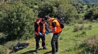 Θεσσαλία: Εντοπίστηκαν 195 δηλητηριασμένα δολώματα