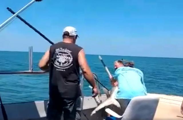 Καρχαρίας άρπαξε ψαρά πάνω στο σκάφος – Το βίντεο που κόβει την ανάσα