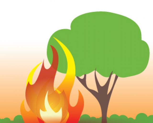 Προσοχή: Πολύ υψηλός κίνδυνος πυρκαγιάς σε Λοκρίδα - Βοιωτία - Εύβοια