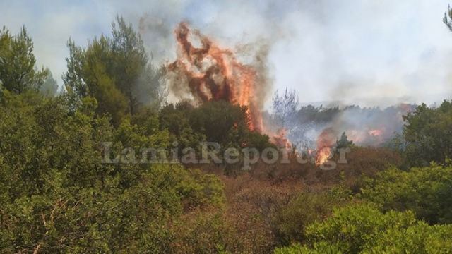 Πυρκαγιά στο Μαρτίνο καίει δασική έκταση – Φωτογραφίες