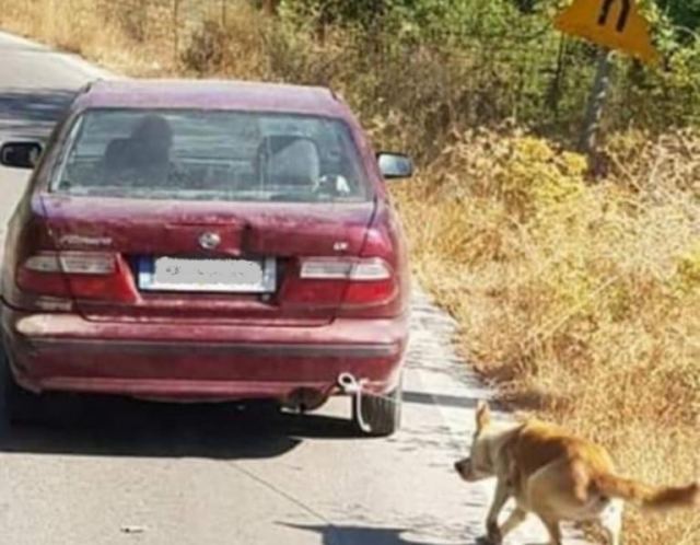 Βρέθηκε το αυτοκίνητο που είχαν δέσει σκύλο και τον έσερναν – Άφαντος ο οδηγός