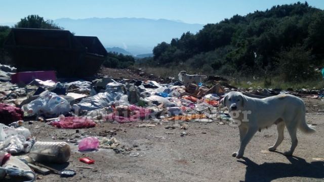 Καμηλόβρυση: Ακολουθώντας το δρόμο των σκουπιδιών