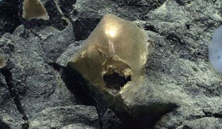 Μυστήριο στην Αλάσκα: Βρέθηκε στη θάλασσα &quot;δερμάτινη&quot; χρυσή σφαίρα