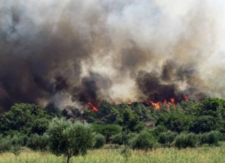 Ρόδος: Η φωτιά «καταπίνει» το πυκνό δάσος – Σκληρή μάχη για να περιοριστεί το πύρινο μέτωπο