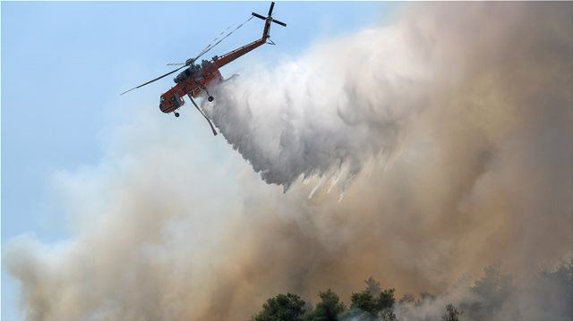 Φορέας ΔΠΠ Εύβοιας: «Δεν είναι Natura η περιοχή που κάηκε»