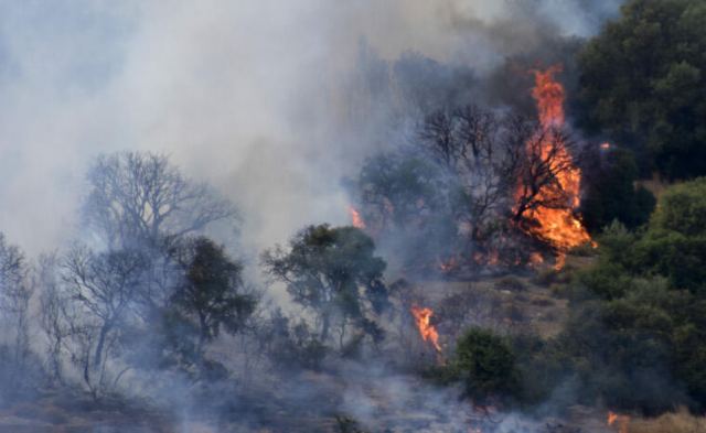 Συναγερμός για πυρκαγιά στο Γοργοπόταμο